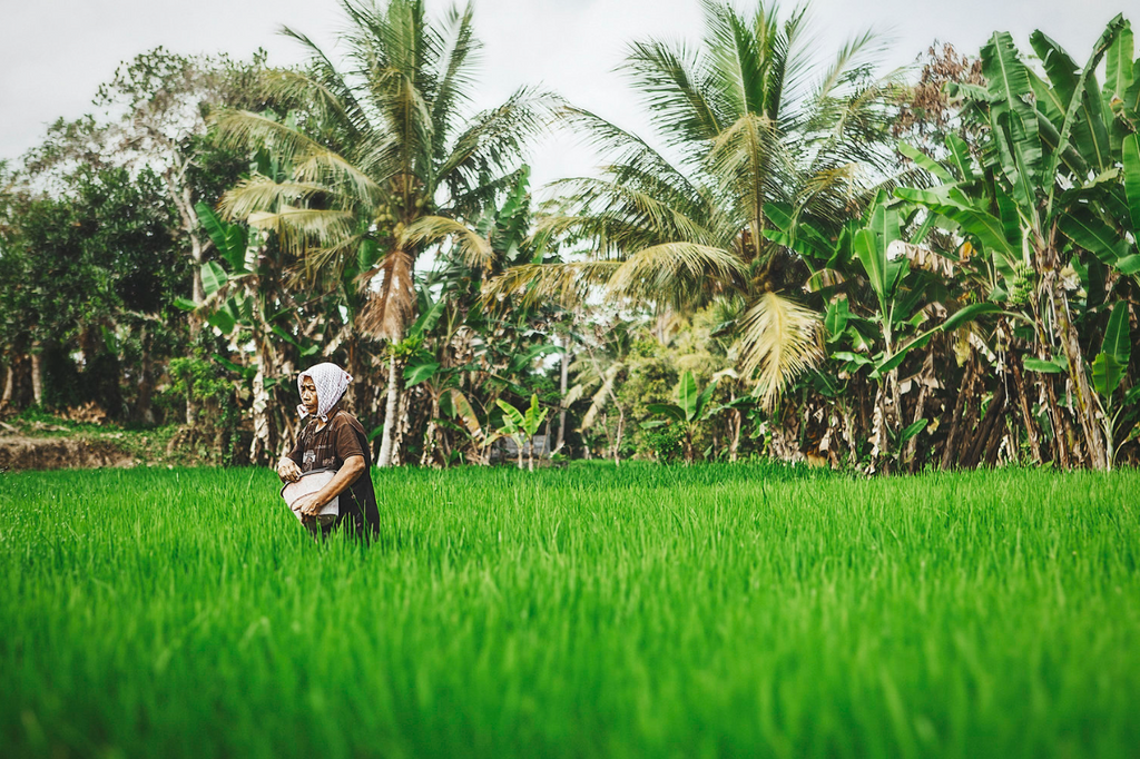 CULTURE: PHOTOGRAPHER WERAROA KAWANA